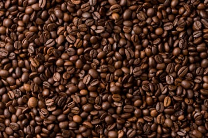 Robusta Coffee Beans_Arabica Coffee Beans_ Coffee Beans forsale at affordable rate